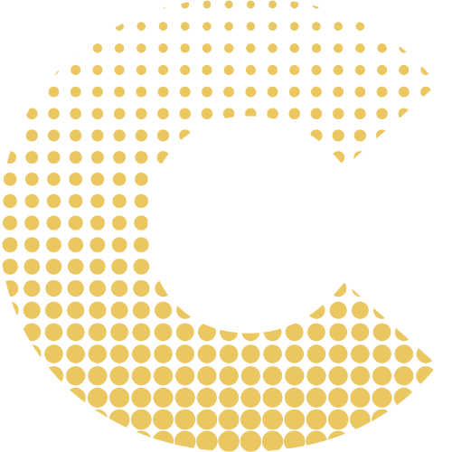 Common Sense Team GmbH 